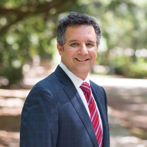 Steven E. Goldberg