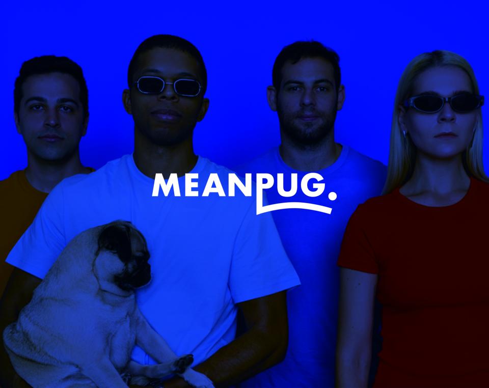 MeanPug Digital Logo on Banner