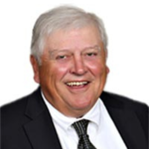 David W Ansley
