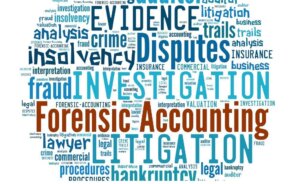 accountants