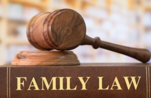 Florida Family Law Update