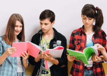 Ohio’s Standards For Gifted Student Education