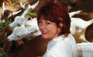 animals