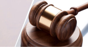 litigation support