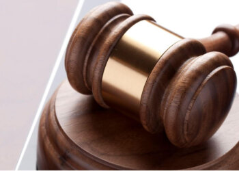 litigation support