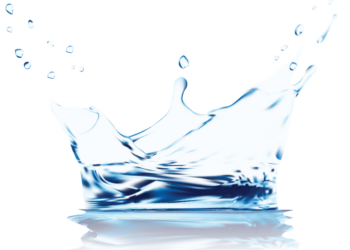 registered trademark