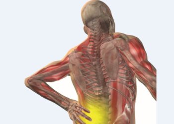 vocational rehabilitation