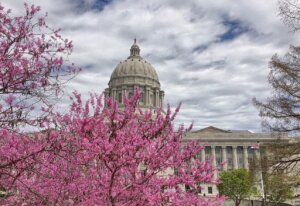 Missouri Laws