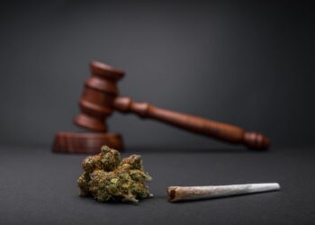 State Cannabis Laws Update for 2020: Facts and Outlooks