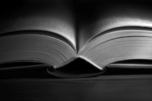 book excerpt