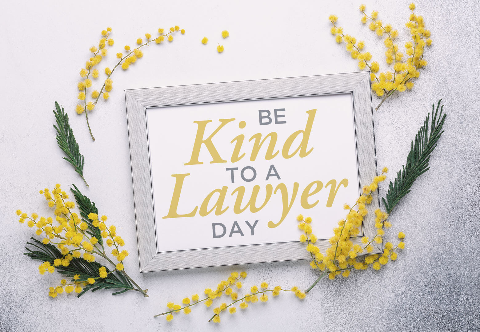 Be Kind to a Lawyer Day 2020 Attorney at Law Magazine
