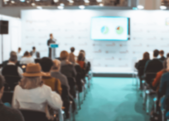 undergraduate study law