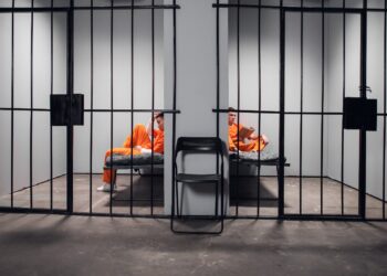 witness misidentification