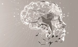 lawyers technology and ego