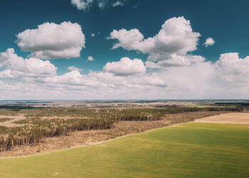 eminent domain cases