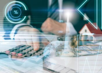 The Gorilla in the Fiscal Room