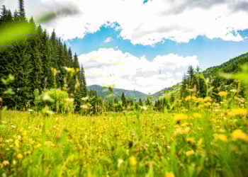 Coleman Cowan: To Live. Not Exist.