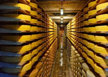 Gruyere a Common Name for a Cheese or a Trademark?