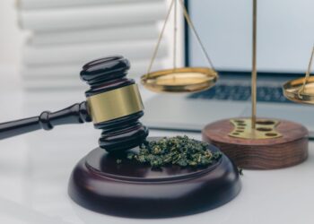 The Times, They Are a Changing: The Hemp and Cannabis Industry May Change Drastically in 2024-2025