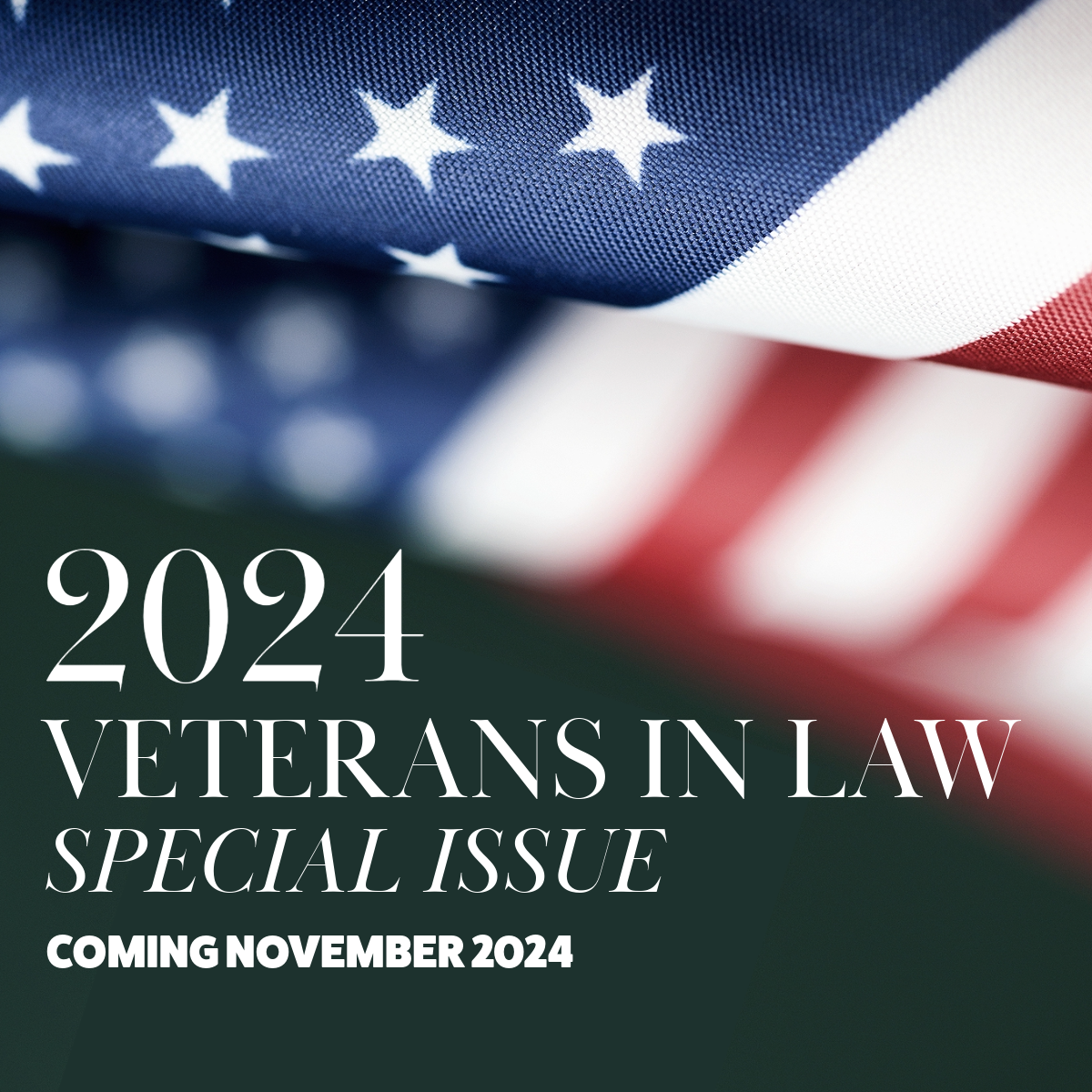 Veterans in Law Special Issue