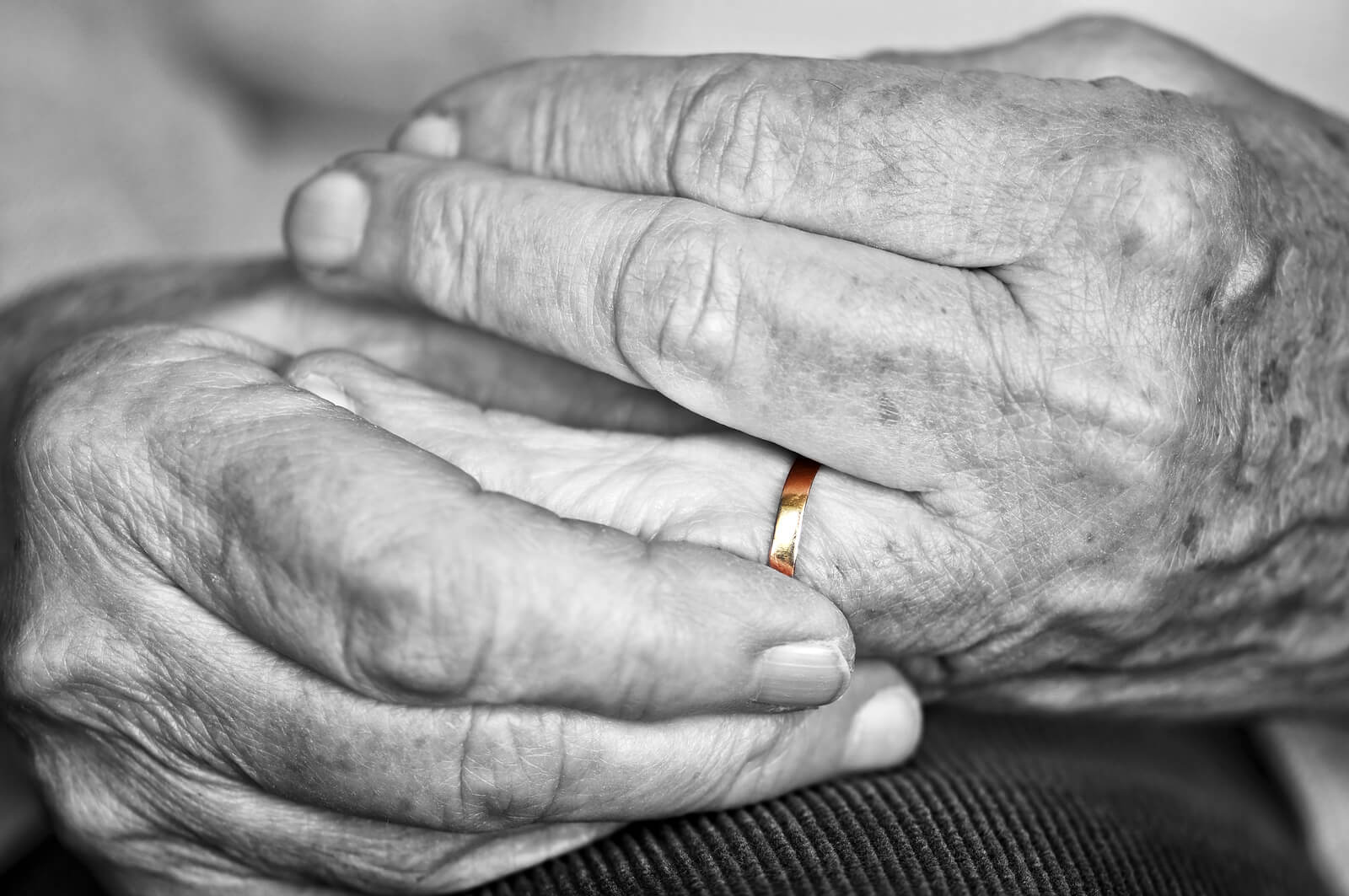The Rise of Gray Divorce is Reshaping Family Law – Til Death (or Retirement)