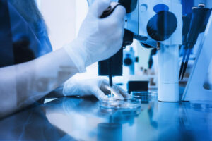 IVF Clinics