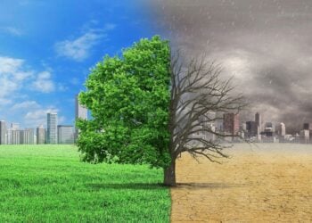 Climate Cases