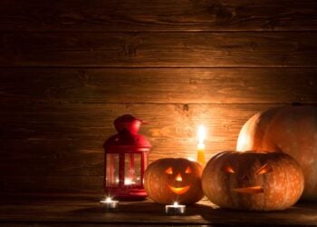 IP Rights and Frights