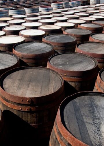 When a Name Isn’t Just a Trademark