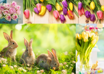 springtime creativity