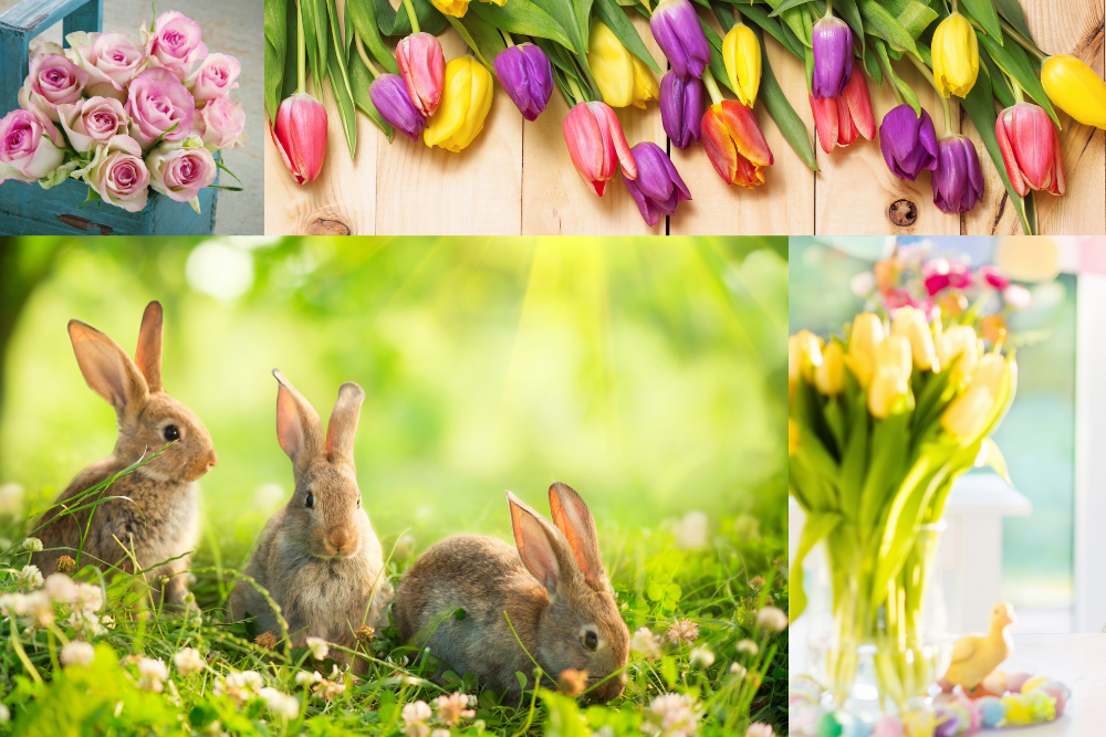 springtime creativity