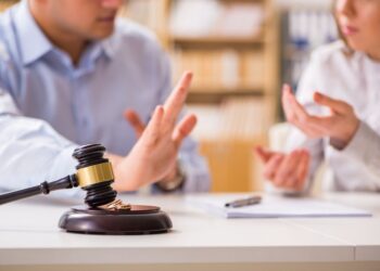 Looking Beneath the Surface: Examining Violence Within the Litigation Process